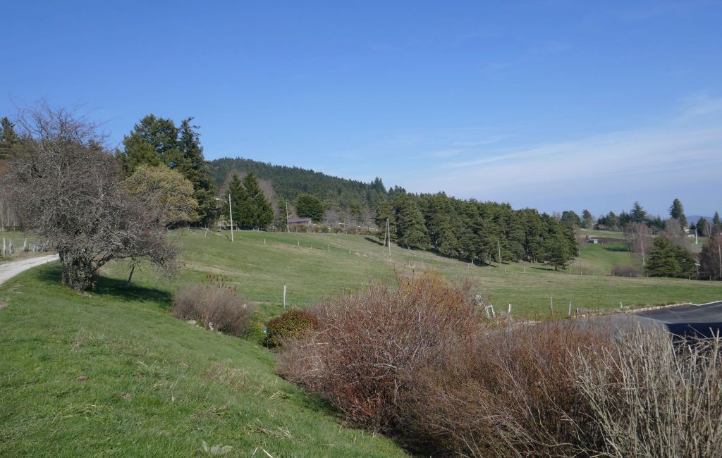 Bomen, watervallen, zon, sneeuw en vergezichten