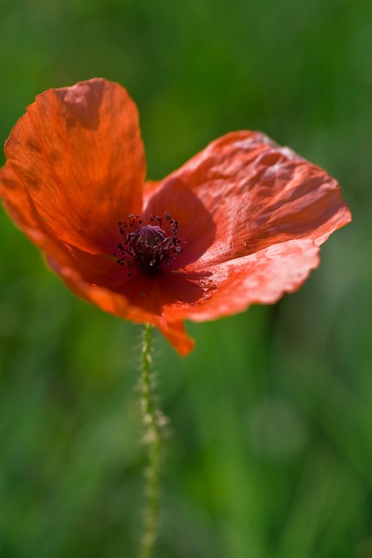 Verhogen bewustzijn essentieel
